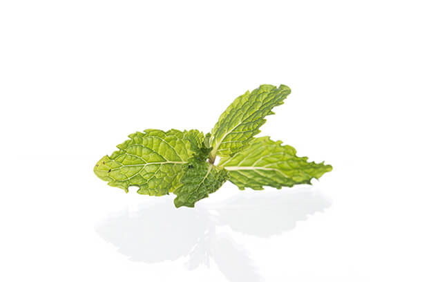 Stevia natural