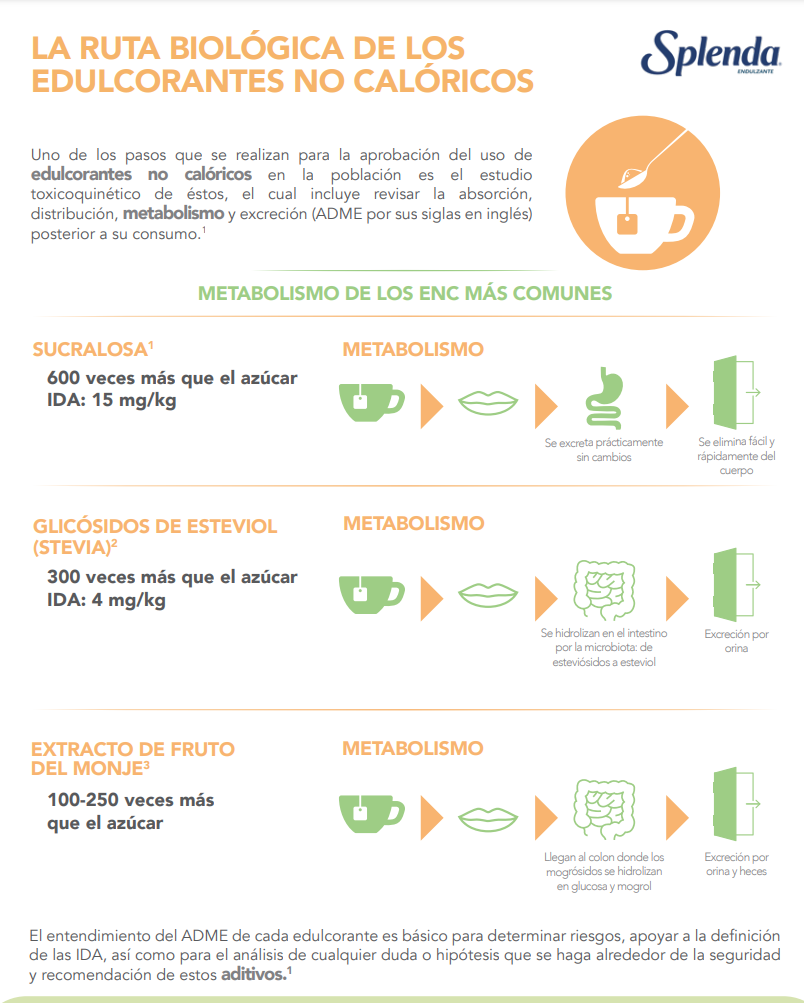 Edulcorante no calórico y su efecto en el metabolismo